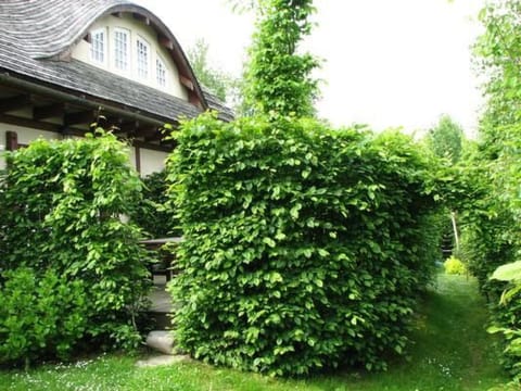 "Sunshine Apartment" Vacation rental in Pomeranian Voivodeship