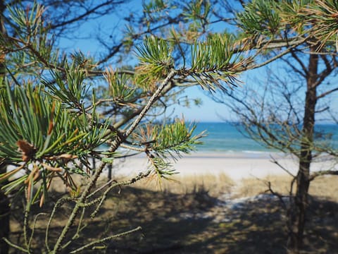 Gestreiftes Haus Vacation rental in Pomeranian Voivodeship