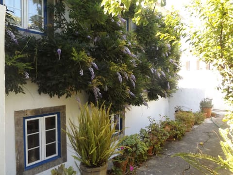Historisches Haus in der Nähe des historischen Dorfes von Óbidos Vacation rental in Óbidos