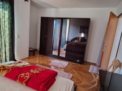 Schöne große Villa Vrcin Vacation rental in Vojvodina