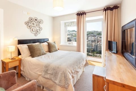 The Sea Perch Apartment in Ilfracombe