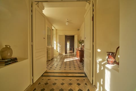 Sauvignon Vines House in Sancerre