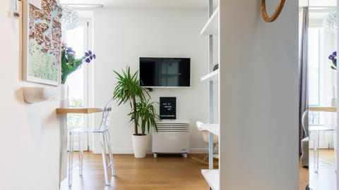 Lake Jetty Apartment in Cadenabbia