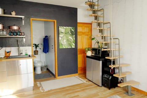 Mermaid Lair Luxury apartment in La Jolla