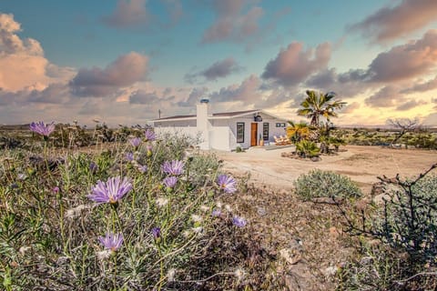 Flower Girls Apartment in Yucca Valley