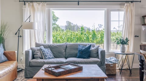 Amidst The Vines Apartment in Sonoma