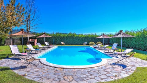 Where Olives Grow Apartment in Umbria