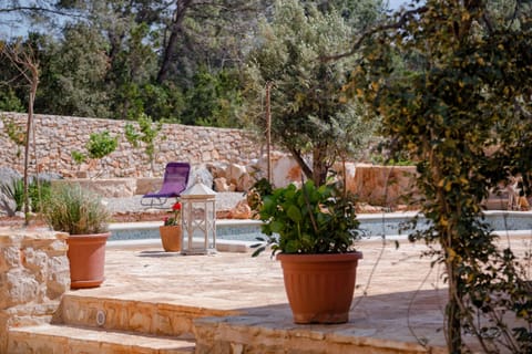 A Bountiful Harvest Apartment in Stari Grad