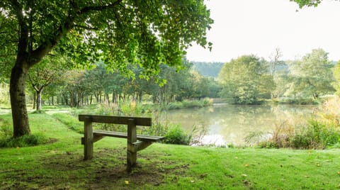 Catch and Release Apartment in North Devon District