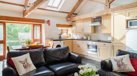Catch and Release Apartment in North Devon District