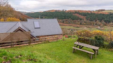 Wye Valley View Cabin in Forest of Dean