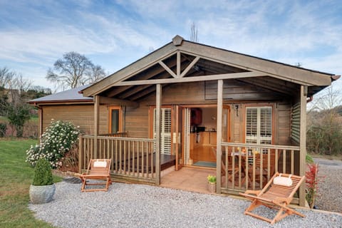 The Emperor Dragonfly Apartment in Teignbridge