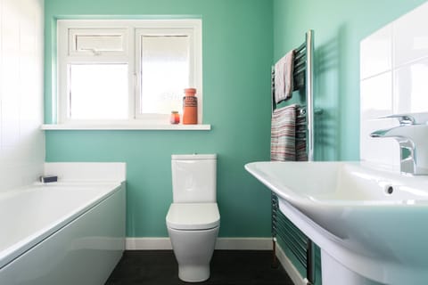 The Endless Summer Apartment in Braunton