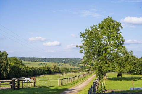 Ambling Along Apartment in Wycombe District