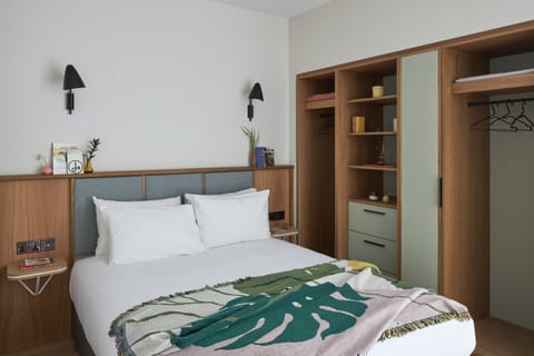 Barberton Daisy Apartment in Cambridge