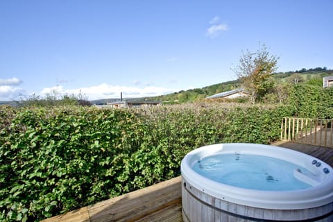 Hit the Deck Apartment in Sedgemoor