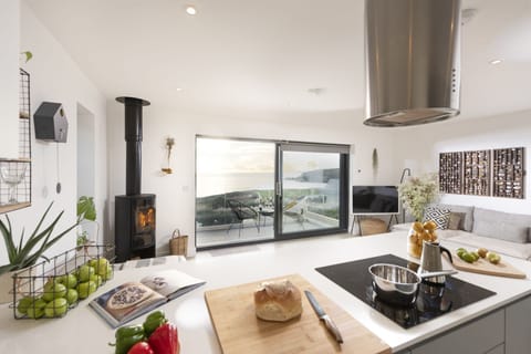 Cornish Nightingale Apartment in England