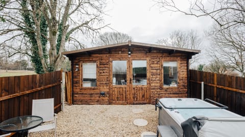 Meet Me in the Woods Apartment in East Dorset District