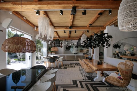 Cycladic Palace Apartment in Naxos