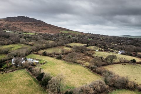 Wild Angels Apartment in Wales