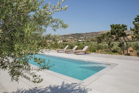 Abode of Bliss Apartment in Naousa