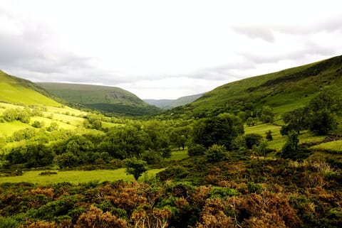 Serenity in the Black Mountains Apartment in Wales
