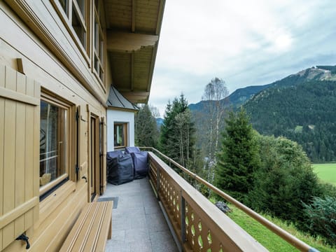 Skis On The Wall Apartment in Salzburgerland