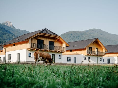 Cows in the Meadow Apartment in Friuli-Venezia Giulia