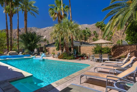 Rock 'n' Roll Salamander Apartment in Palm Springs