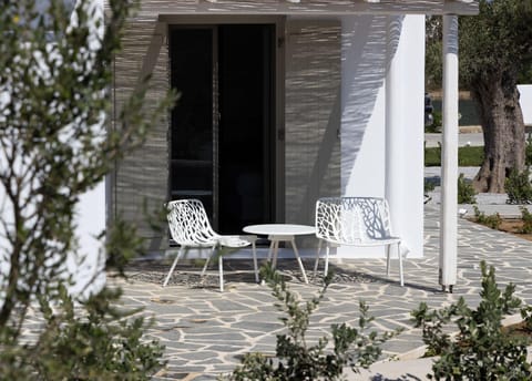 Crystal Sky Apartment in Naxos, Naxos and Lesser Cyclades, Greece