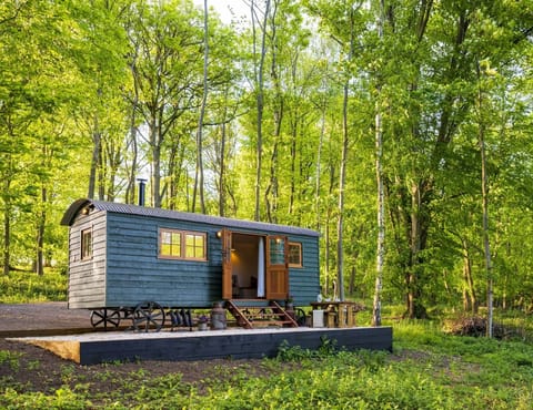 A Woodland Walk Apartment in Wycombe District
