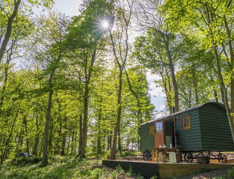 A Woodland Walk Apartment in Wycombe District