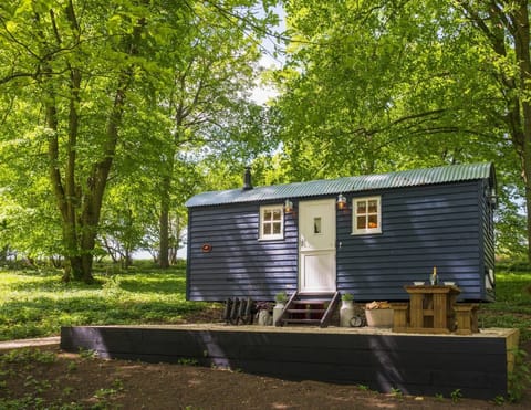 Hazel Hut Apartment in Wycombe District