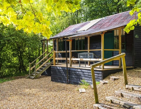 The Secret Forest Apartment in Wycombe District