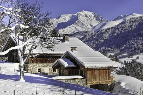 Chalet Muse Apartment in Megève