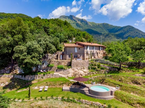 Eagle in Its Eyrie House in Camaiore