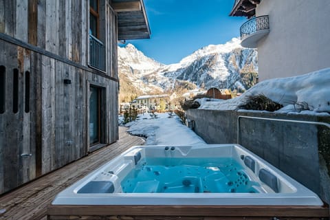 Alpine Adoration Apartment in Chamonix