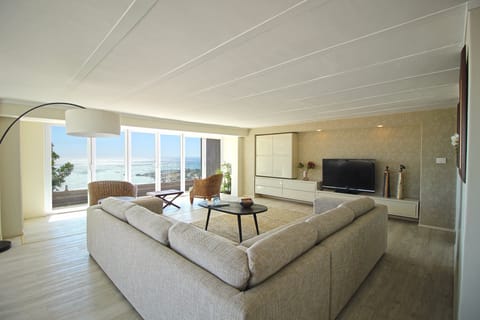 Sunbirds Singin' Apartment in Camps Bay