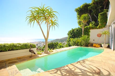 Sunbirds Singin' Apartment in Camps Bay