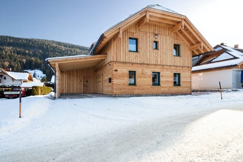 Alpine Muse Apartment in Carinthia, Austria