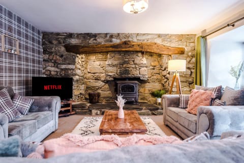 Queen of the Stone Age Apartment in Dolgellau