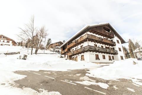Alpine Abode Apartment in Cortina d Ampezzo