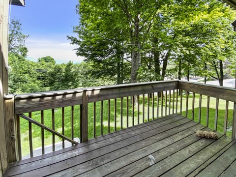 A wooden deck with a railing overlooks a grassy area with trees. A pinecone rests on the deck floor. The sky is clear and blue in the background.