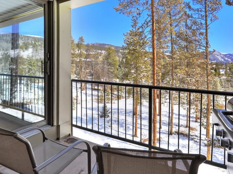 2065 The Pines Apartment in Keystone