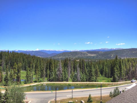Slopeside Condo at Base of Peak 8, Sleeps 6 Apartment in Breckenridge