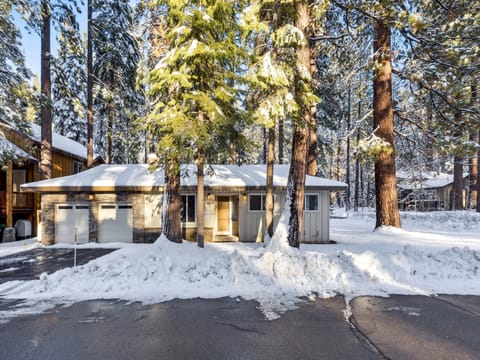 Nestled Among the Pines