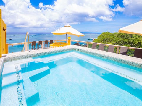 Enjoy your private plunge pool