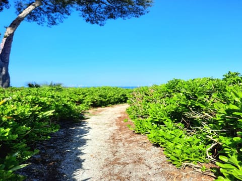 PATH TO BEACH 2