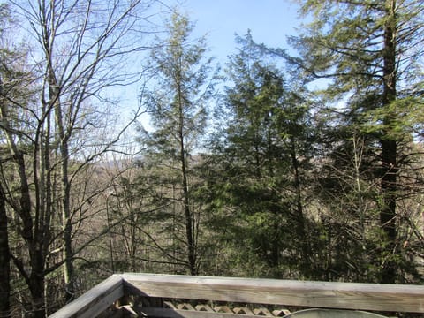 Briarcliff C_11 Apartment in Sugar Mountain