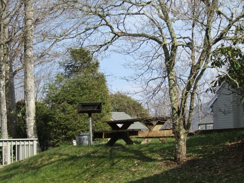 Cozy Downstairs Skyleaf D1 Condo Apartment in Sugar Mountain